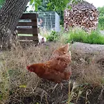 Ferienhaus Jerichow *