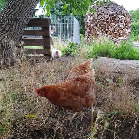 Ferienhaus Jerichow *