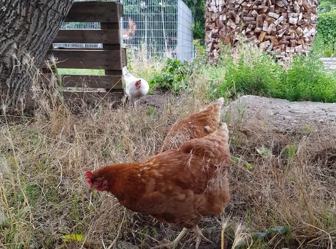 Ferienhaus Jerichow *